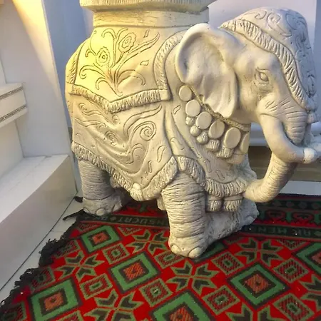 Nocleg ze śniadaniem Lily Airport Arnavutkoy