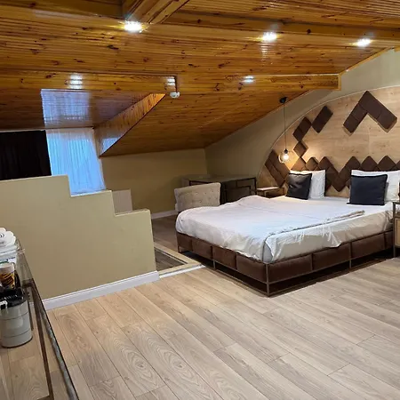 Bed & Breakfast Lily Airport