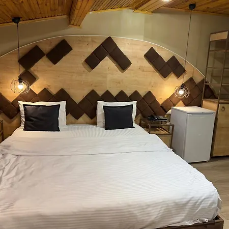 Lily Airport Bed & Breakfast 3*