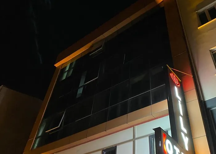 Lily Airport Bed & Breakfast Arnavutkoy