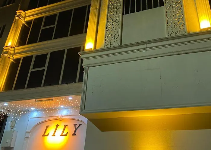 Bed & Breakfast Lily Airport